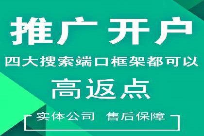 百度推广技巧分享：成功案例解析